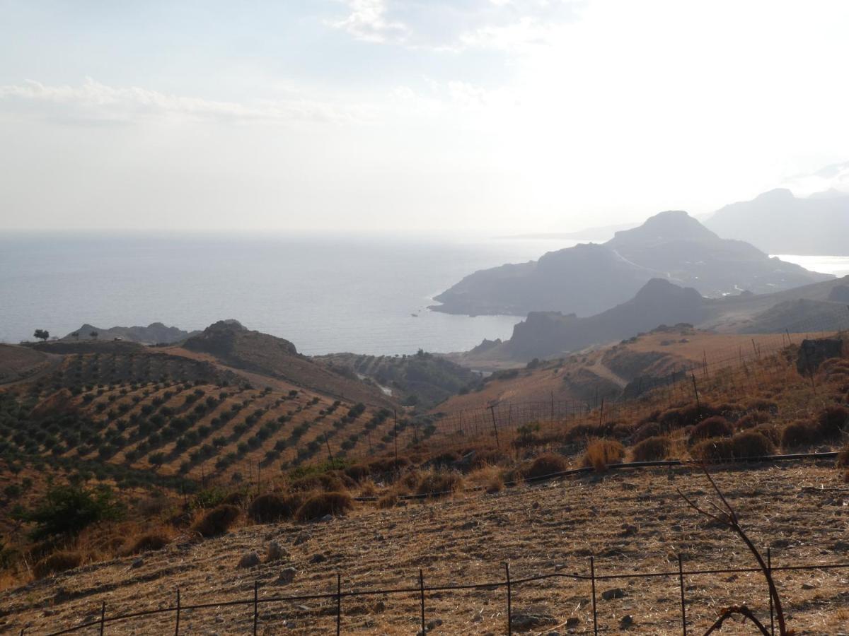 Thalassa Villa Plakias Dış mekan fotoğraf
