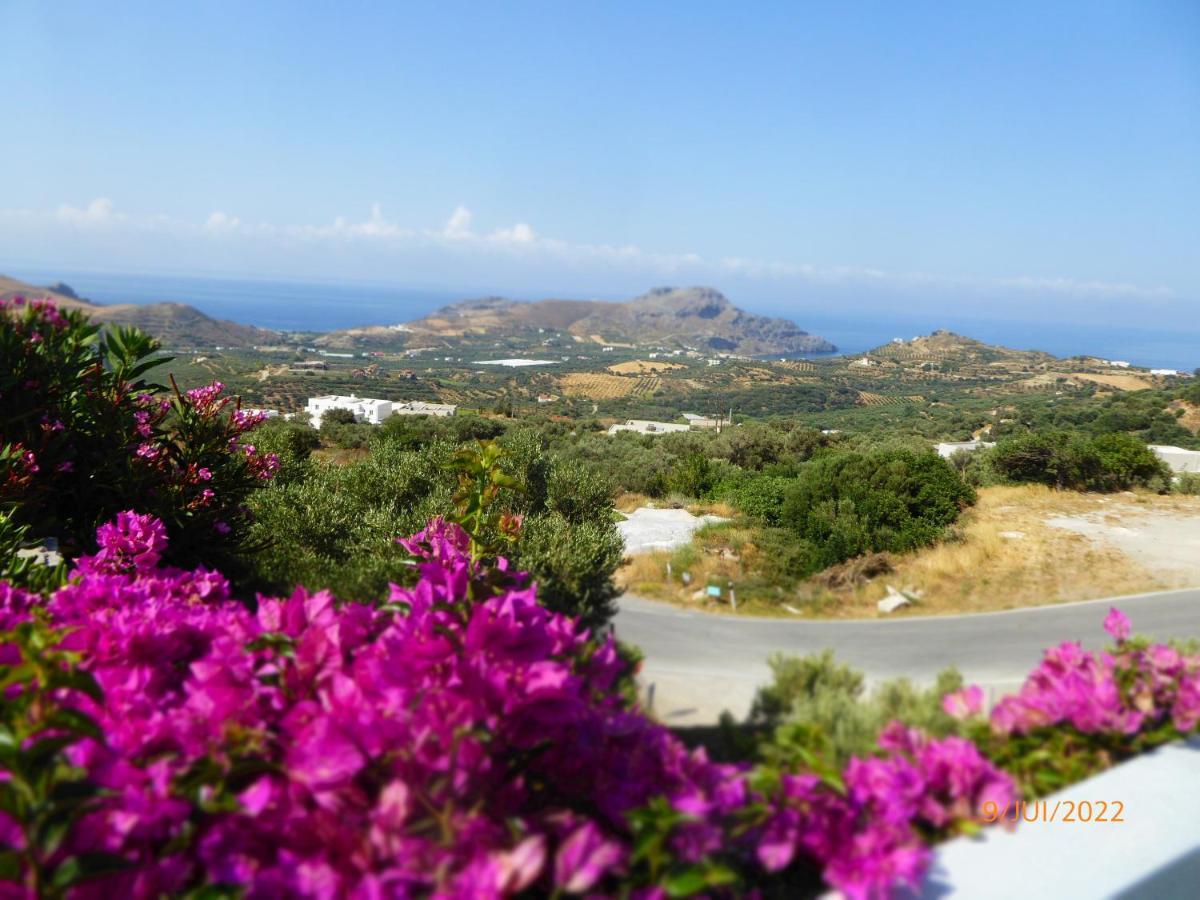 Thalassa Villa Plakias Dış mekan fotoğraf