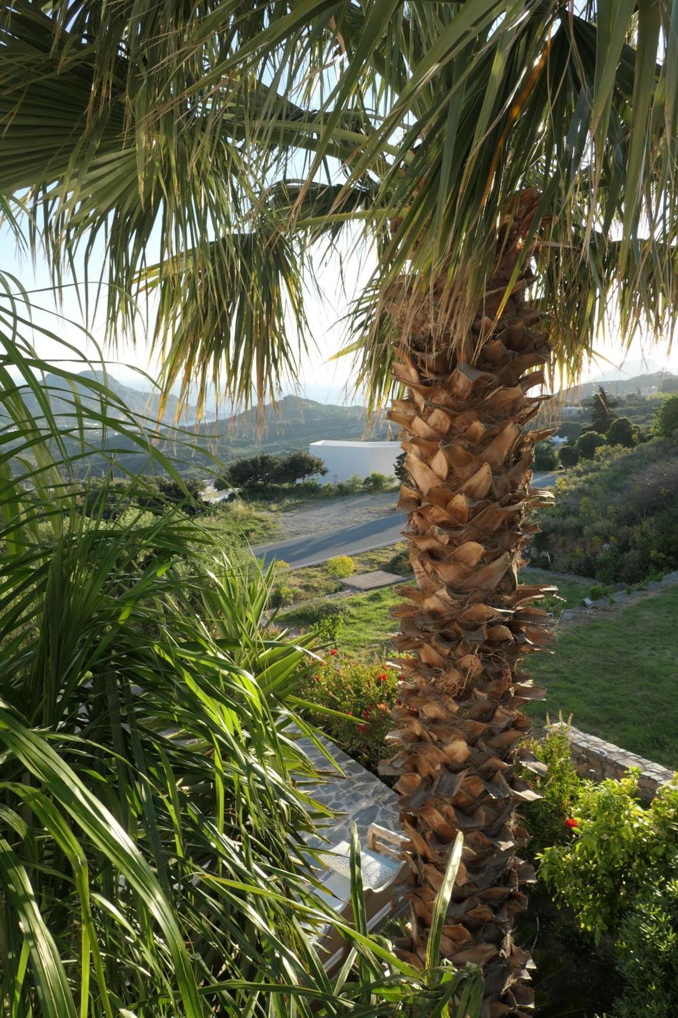 Thalassa Villa Plakias Dış mekan fotoğraf