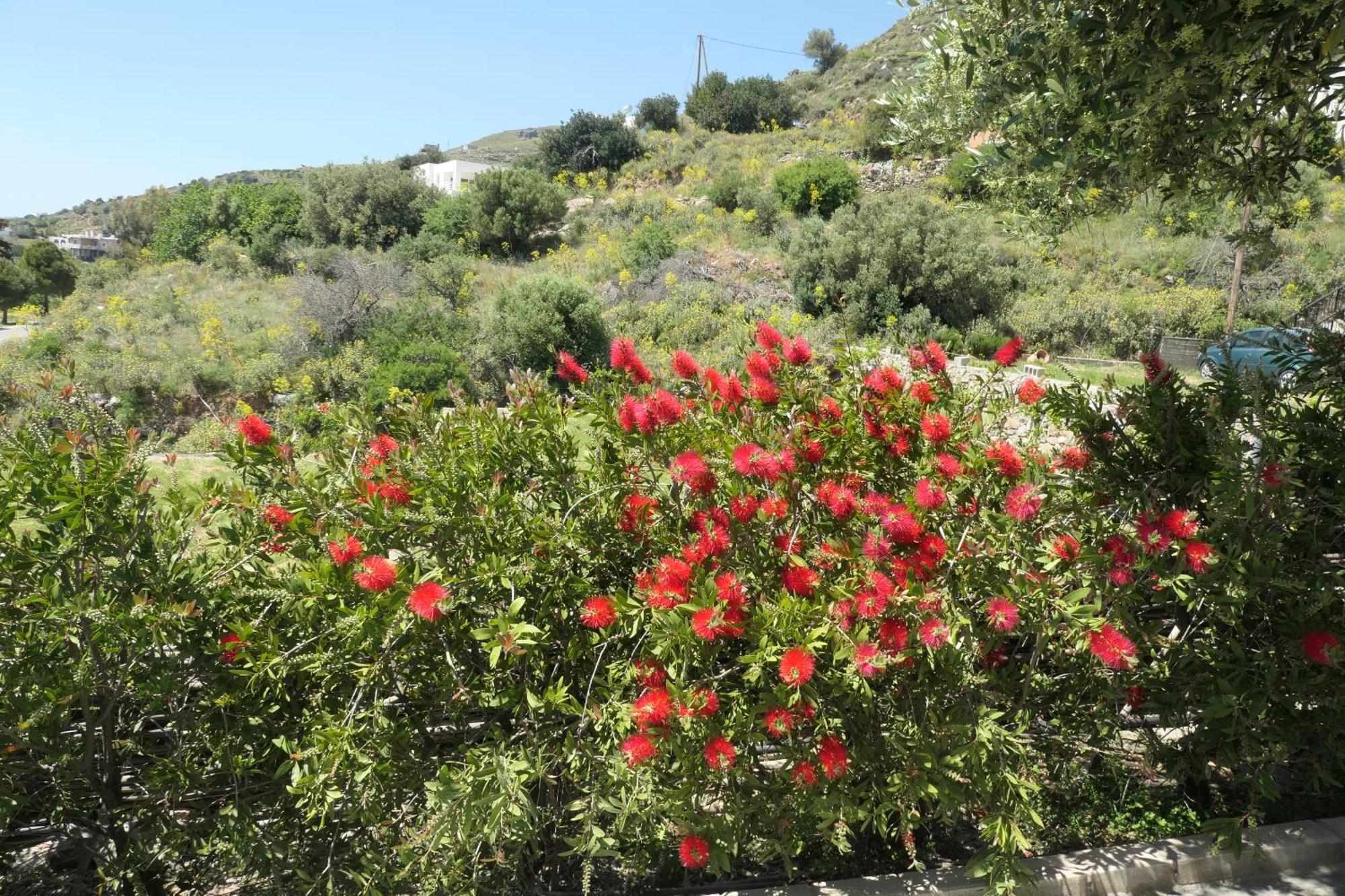 Thalassa Villa Plakias Dış mekan fotoğraf