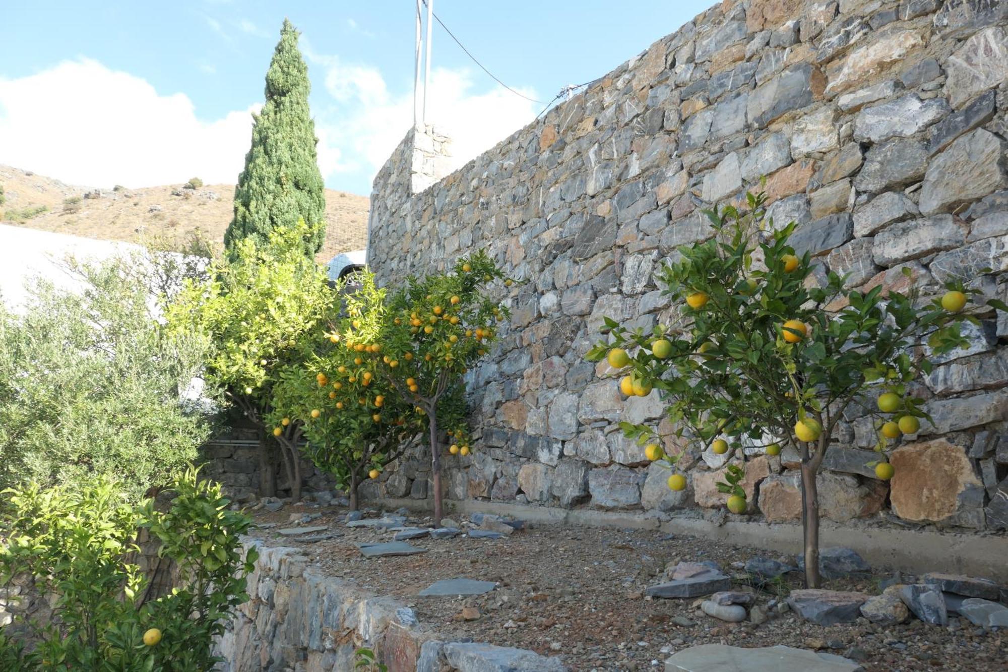 Thalassa Villa Plakias Dış mekan fotoğraf