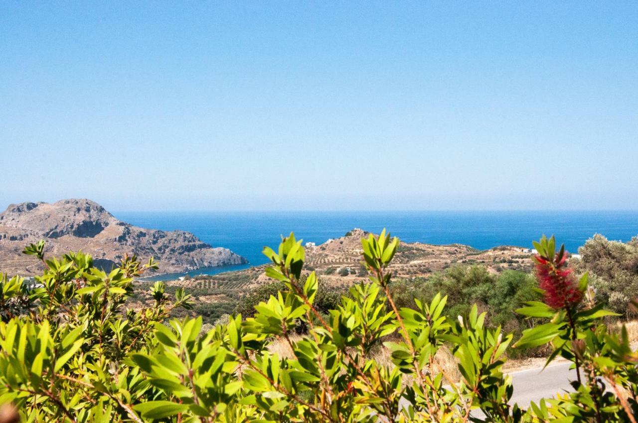 Thalassa Villa Plakias Dış mekan fotoğraf