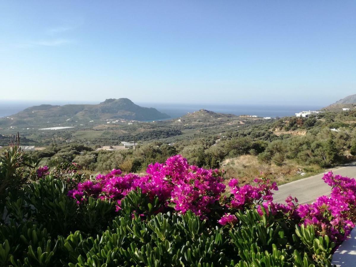 Thalassa Villa Plakias Dış mekan fotoğraf