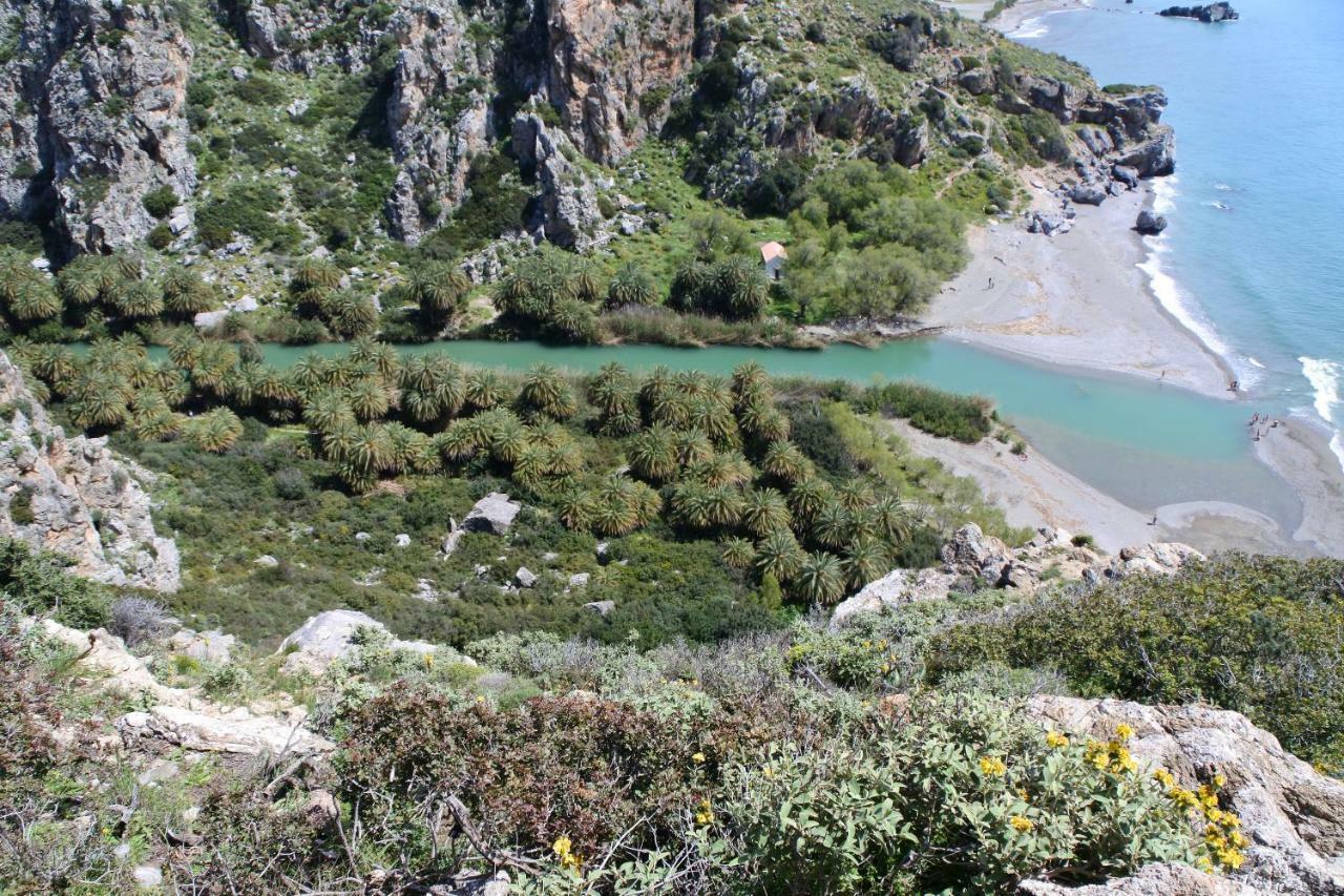 Thalassa Villa Plakias Dış mekan fotoğraf